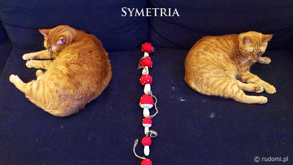 Symetria i synchronizacja