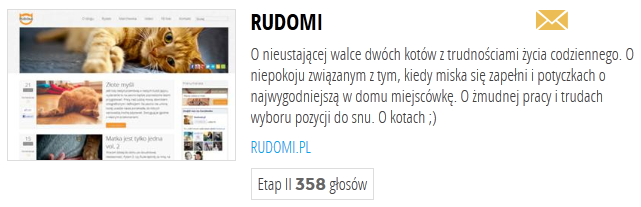 Rudomi.pl nominowane do nagrody w konkursie Blog Roku 2012