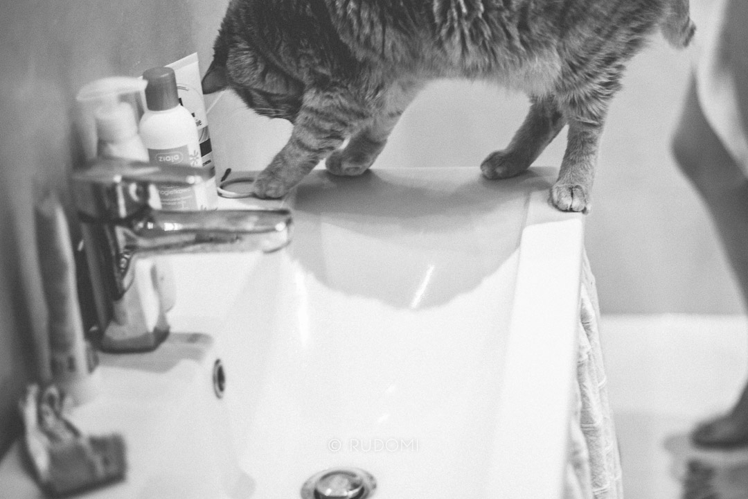 Kot umywalkowy