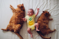 Jak wygląda życie z kotami i niemowlakiem?